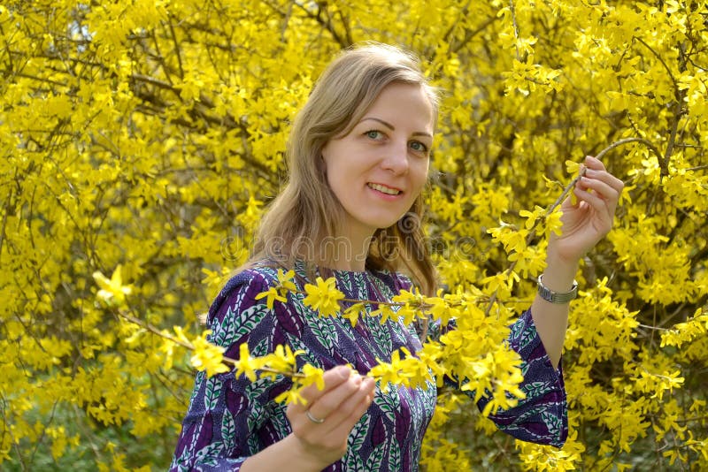 The thirty-year-old woman admires flowers of a forsythia. Portrait royalty free stock photo The thirty-year-old woman admires flowers of a forsythia. Portrait royalty free stock photo