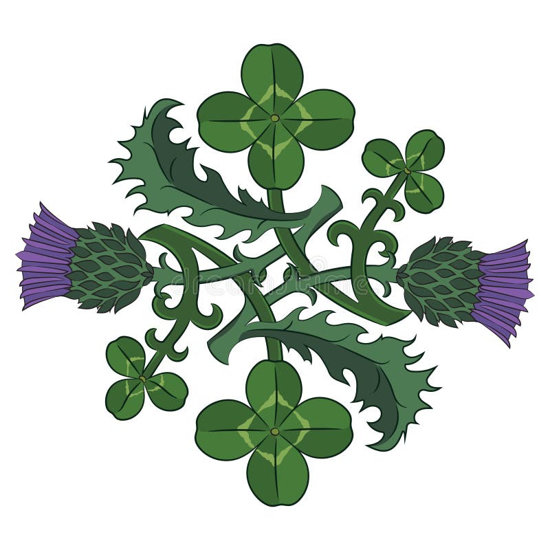 Thistle and Clover. The symbols of Ireland and Scotland. Twisted clover and Thistle
