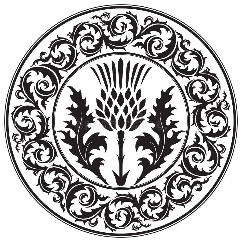 Thistle flower and ornament round leaf thistle. The Symbol Of Scotland