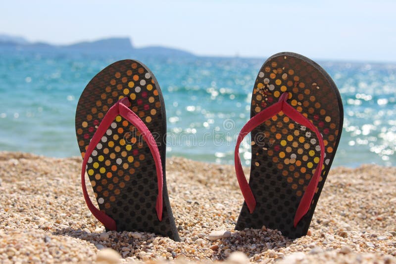 Thongs on the beach stock image. Image of stone, pair - 59182249