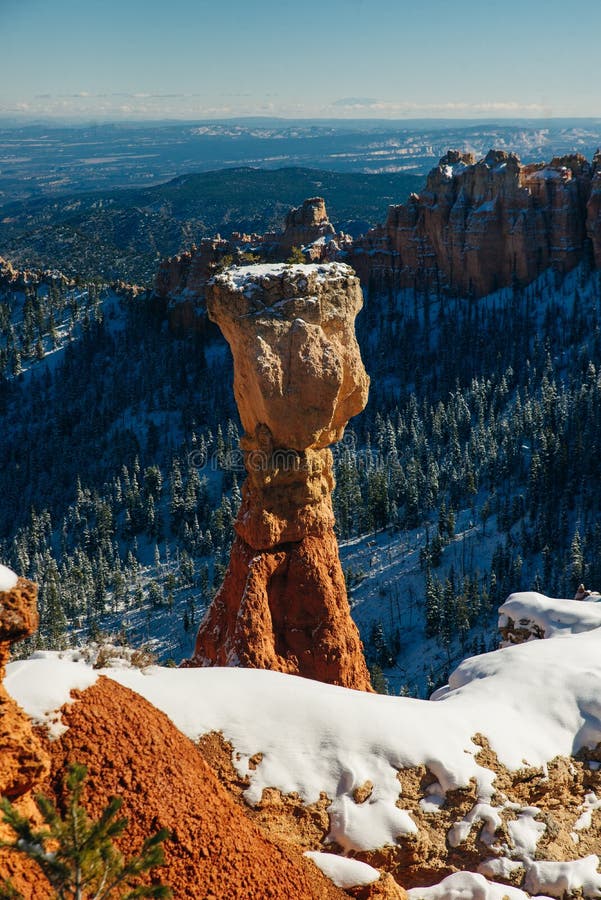 Thor`s Hammer and the spectacular Hoodoo rock spires of Bryce Canyon, Utah, USA royalty free stock images Thor`s Hammer and the spectacular Hoodoo rock spires of Bryce Canyon, Utah, USA royalty free stock images