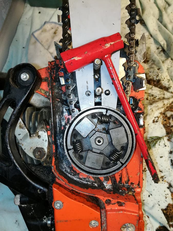 Thorough Cleaning of the Chainsaw Stock Photo Image of claw, catcher