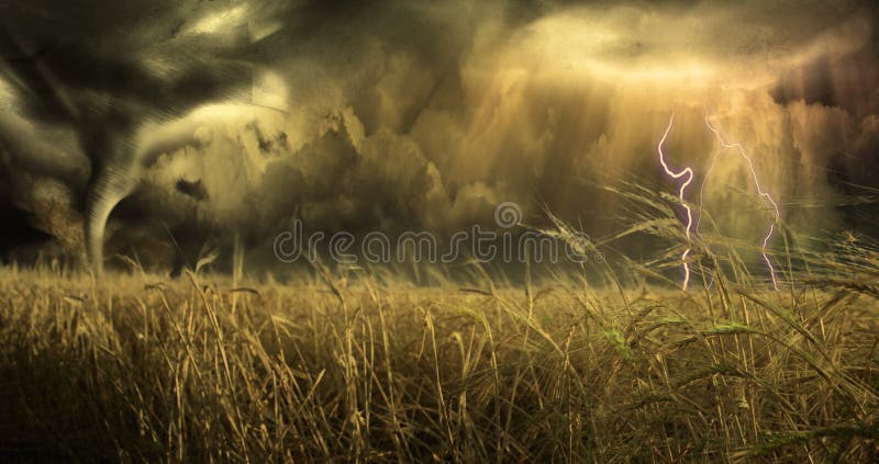 Threatening Sky over field