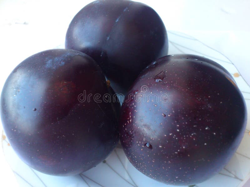 three blue plums on a plate stock photography three blue plums on a plate stock photography