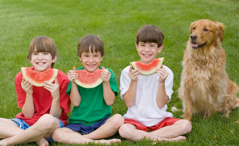 Three Boys Eating img