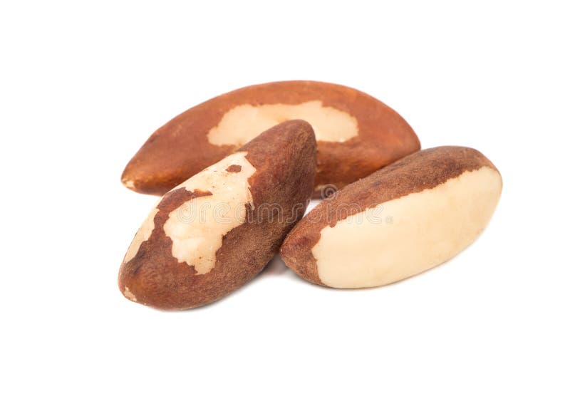 Three Brazil nuts stock photo. Image of dietary, delicious 90710576