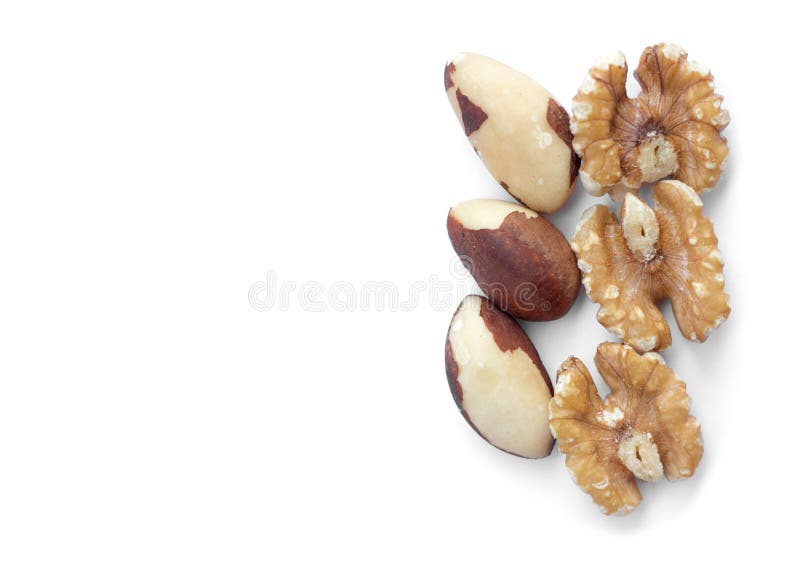 Three Brazil nuts stock photo. Image of background, heap 108113696