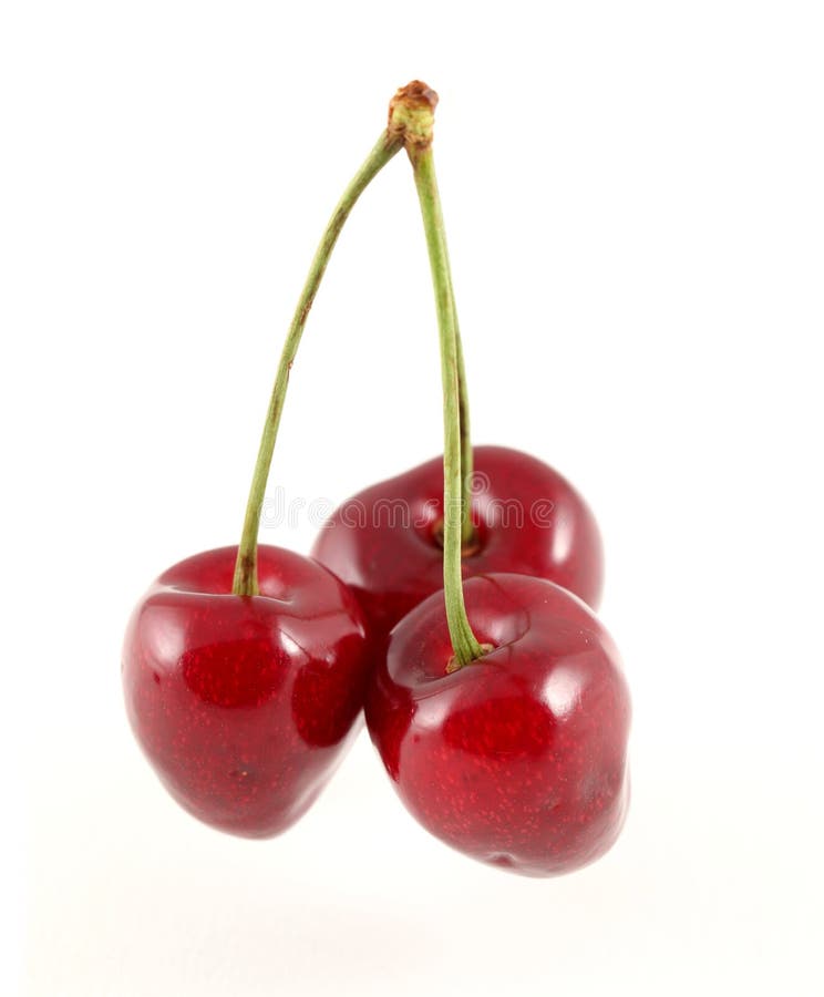 Three cherries stock image. Image of healthy, delicious - 21094593