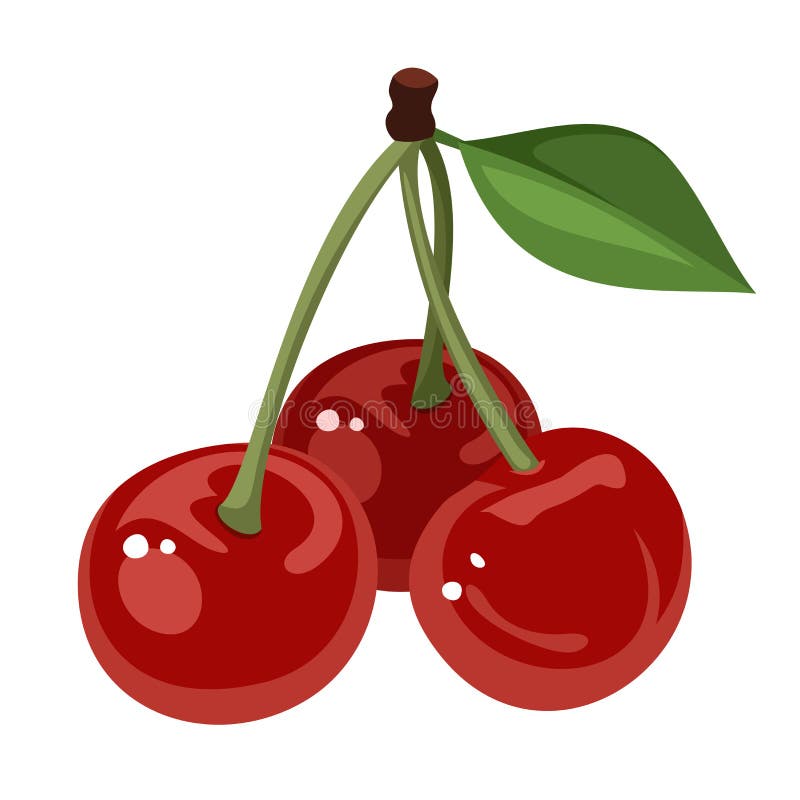Three Cherries stock illustration. Illustration of cherry 9687385