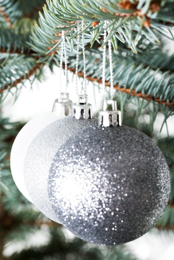 Three Christmas Balls Hanging on Christmas Tree. Stock Photo Image of