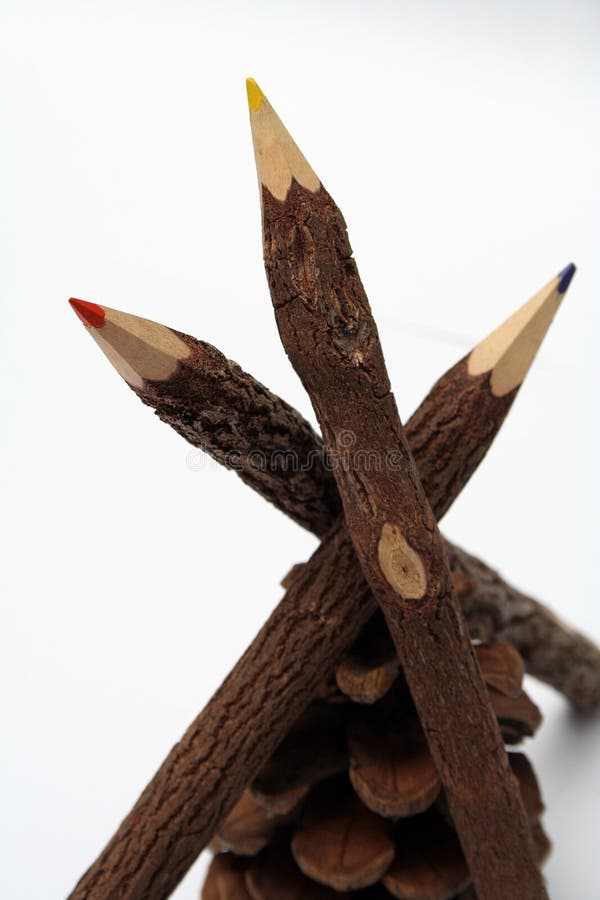 Three color pencils made of a natural tree and pine cone