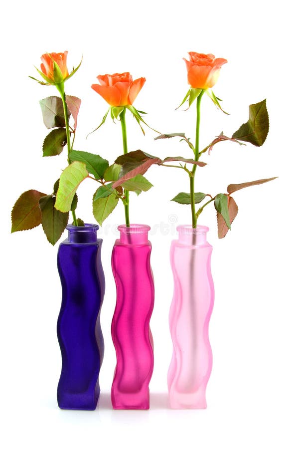 Three Colored Vases with Roses Stock Image Image of thorns, thorn