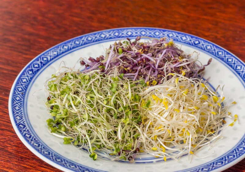 Chinese Hot Plate Bean Curd Cuisine Stock Photo Image of asian