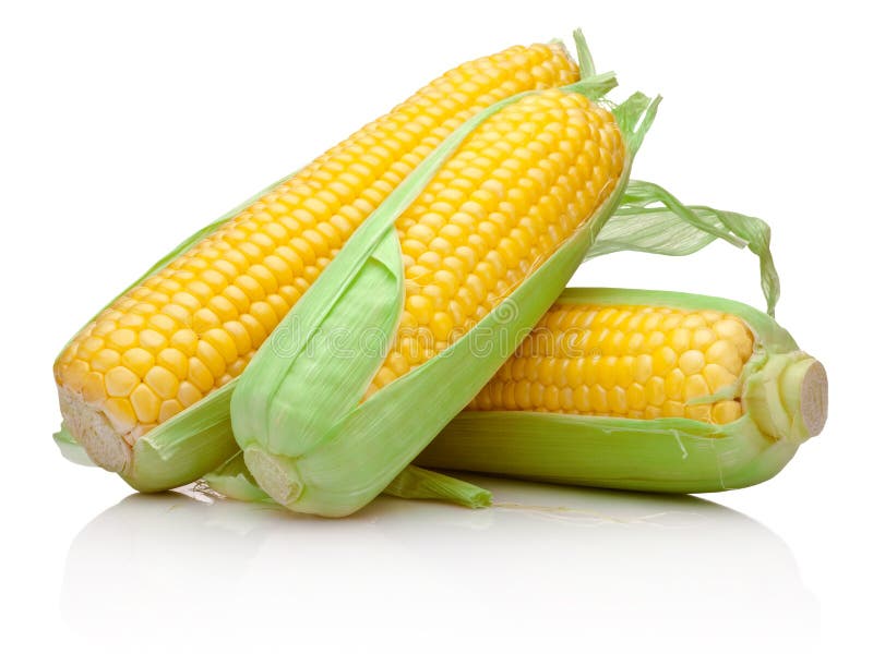 Three corn cob isolated on white background