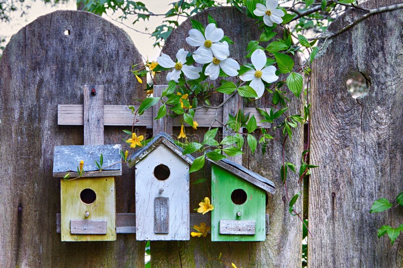 Three cute little birdhouses on wooden fence with flowers