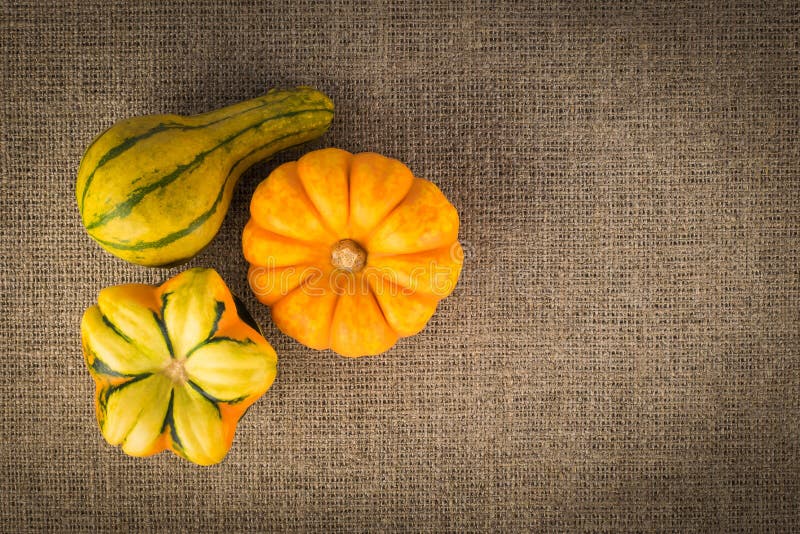 Three decorative pumpkins on linen background stock photography Three decorative pumpkins on linen background stock photography
