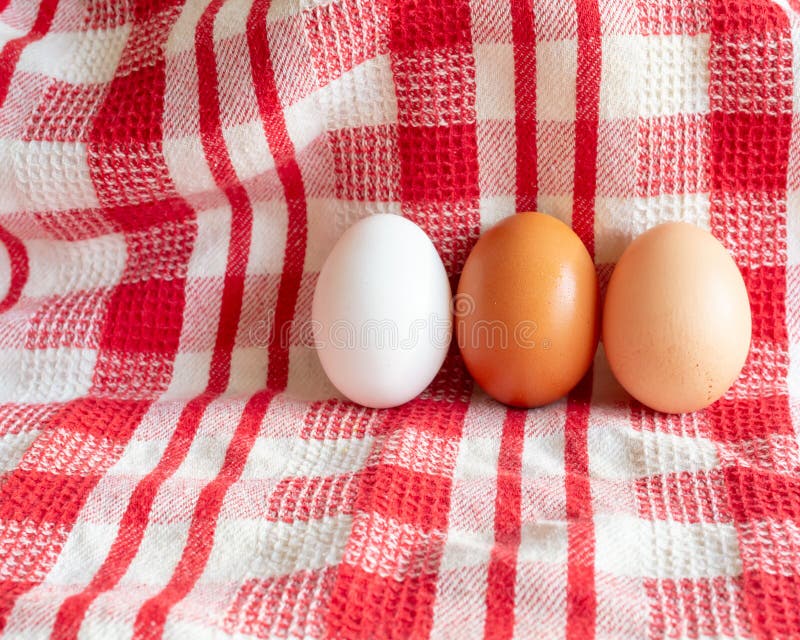 Three different colored eggs, concept image for equality. Three different colored eggs on the red-white wristband , concept image for equality. Close up.