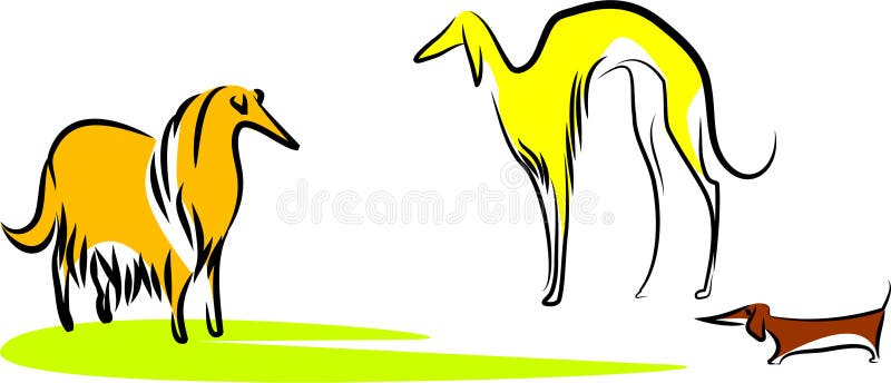 Three dogs vector illustration