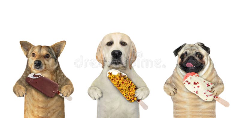 https://thumbs.dreamstime.com/b/three-dogs-eating-ice-cream-white-background-isolated-dogs-eating-ice-cream-224841978.jpg