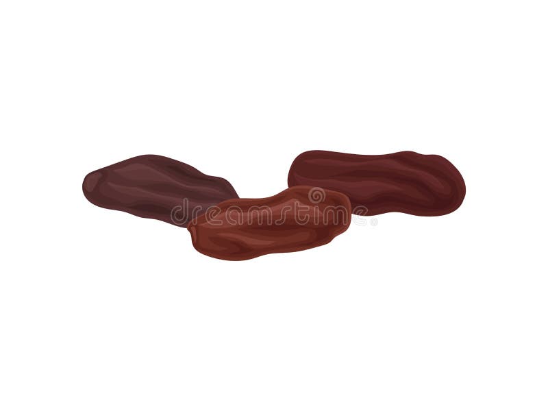 Three Dried Dates on a White Background. Realistic Vector Illustration