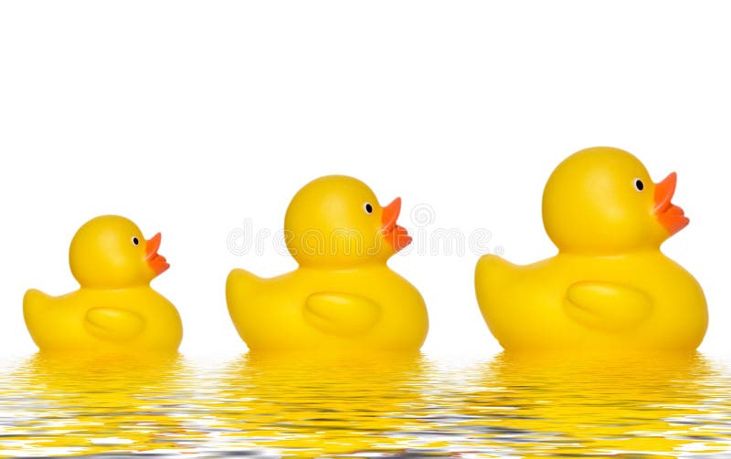 Three ducks