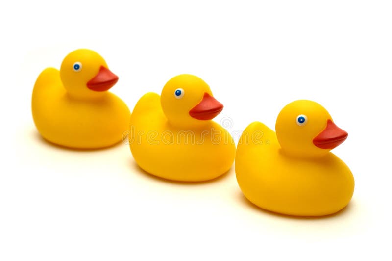 The three ducks isolated