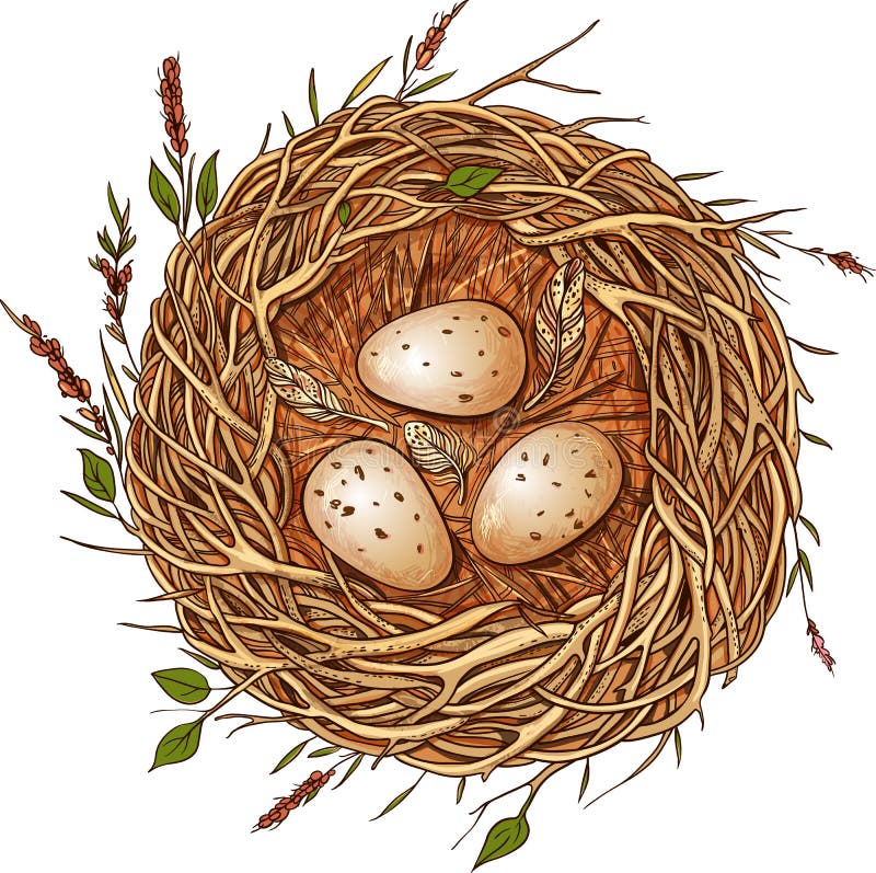 Three eggs in a nest.