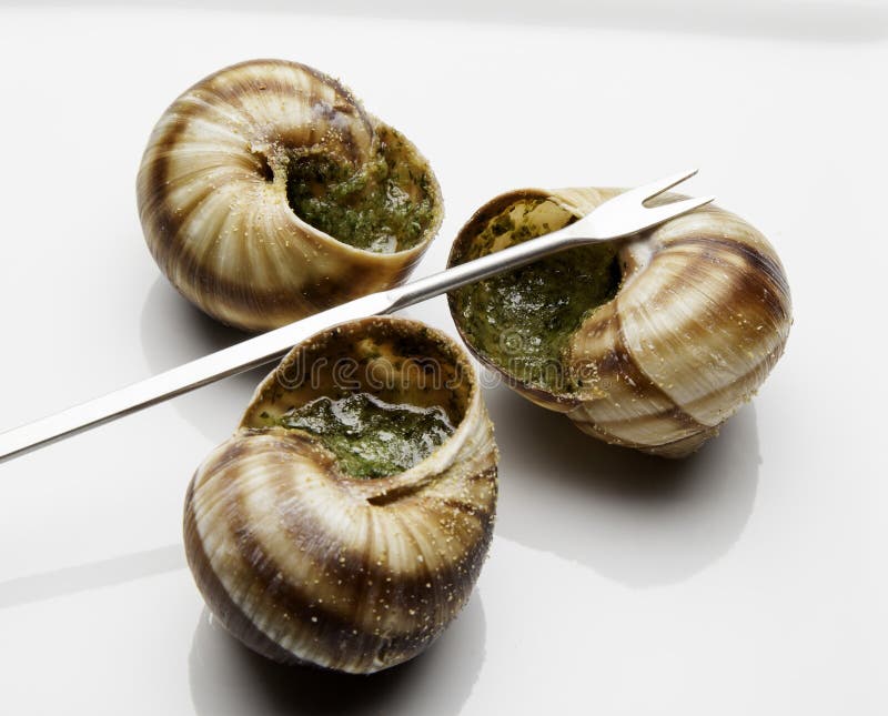 Escargot stock photo. Image of tasty, fork, cooking, escargot 29875608