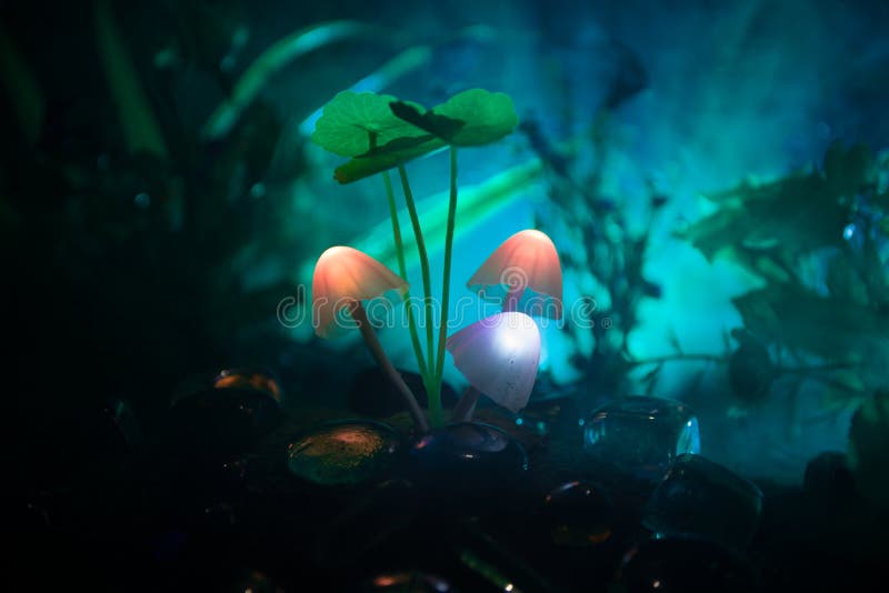 Three fantasy glowing mushrooms in mystery dark forest close-up. Beautiful macro shot of magic mushroom or three souls lost in ava