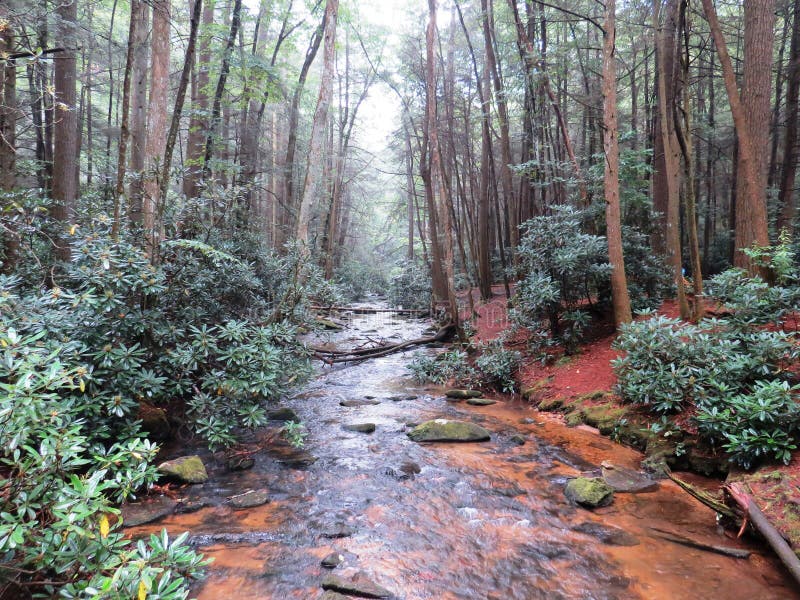 ThreeForks stock photo. Image of trail, wilderness 102661298