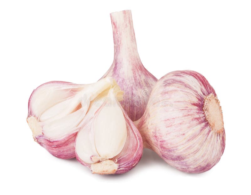 Three Fresh Garlic Head Isolated on White Background Stock Photo