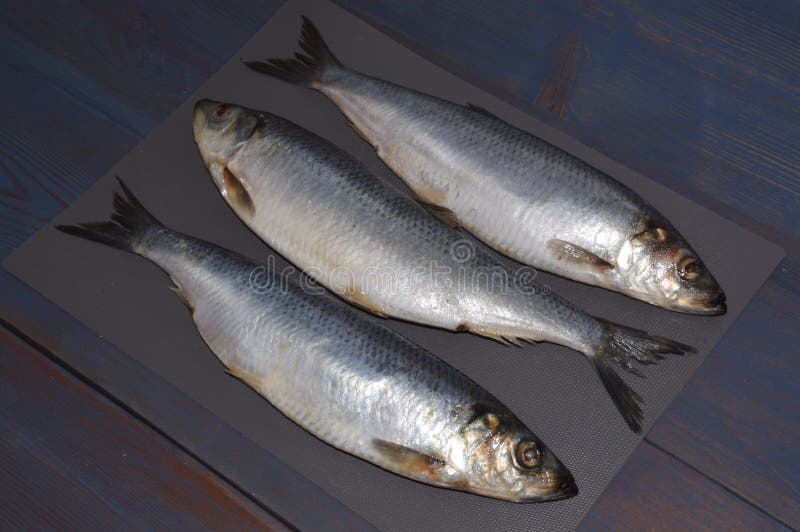 Three Fresh Herrings. Herring Stock Image Image of single, uncooked