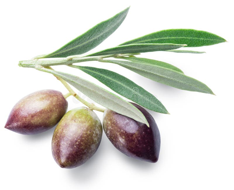 Three Fresh Olives with Leaves. Stock Photo Image of cutout, plant