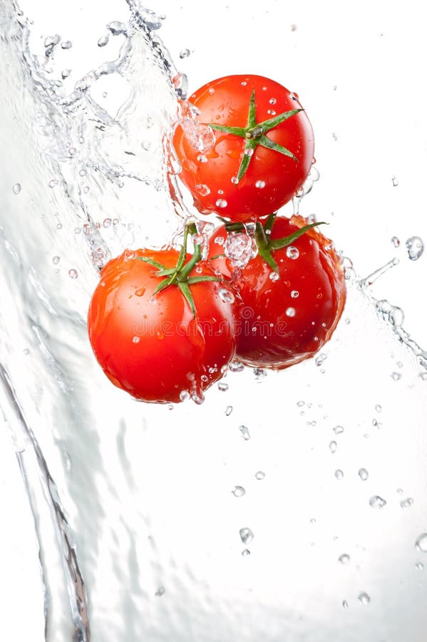 Three Fresh red Tomatoes in splash of water