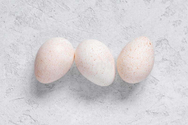 Three Fresh Turkey Eggs on the White Table Stock Photo Image of organic, copy 132677938