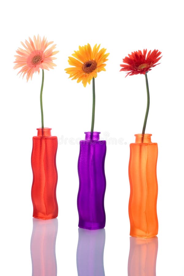 Three gerbera flowers in colorful vases