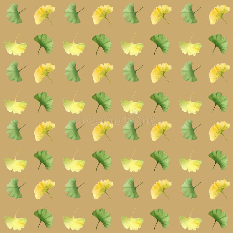 Yellow Ginkgo Leaves | Gift Wrap Yellow Ginkgo Leaves | Gift Wrap