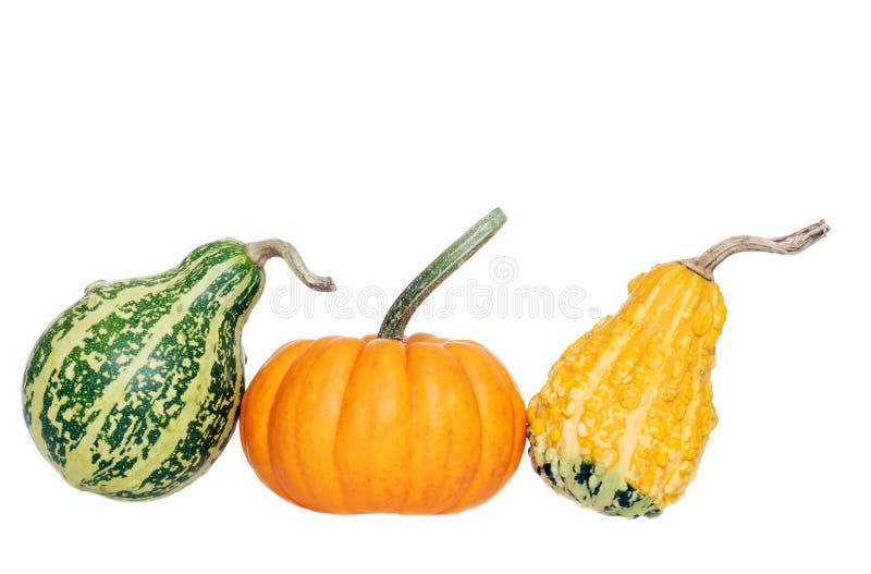 Isolated three gourds on a white background. Single mini stock images, royalty-free photos and pictures