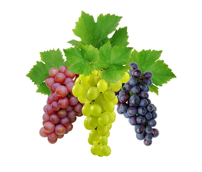 Three grapes with leaves