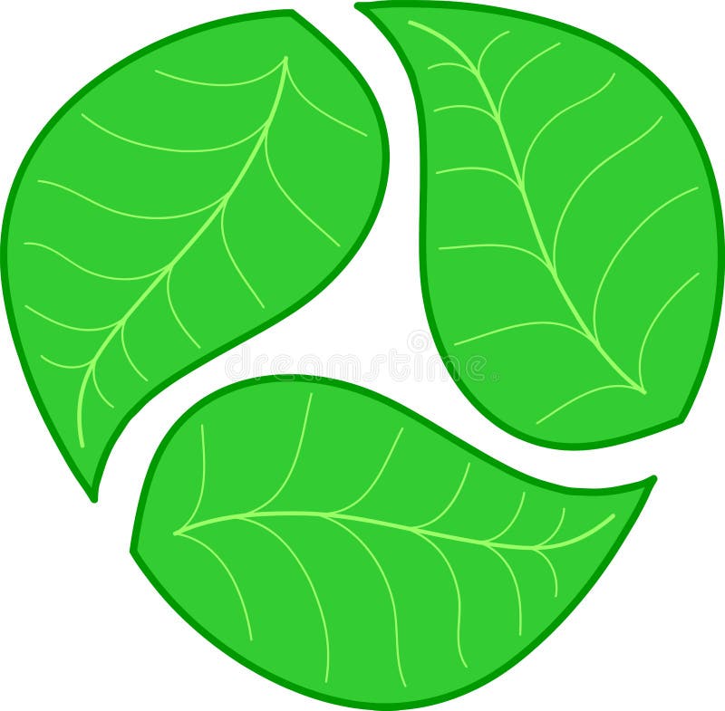 Three green leaves vector illustration