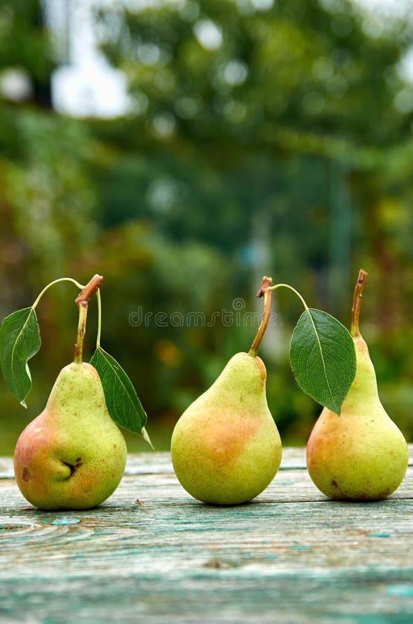 Three Green Pears with Leaves on Wooden Green Brown Aged Texture Table ...