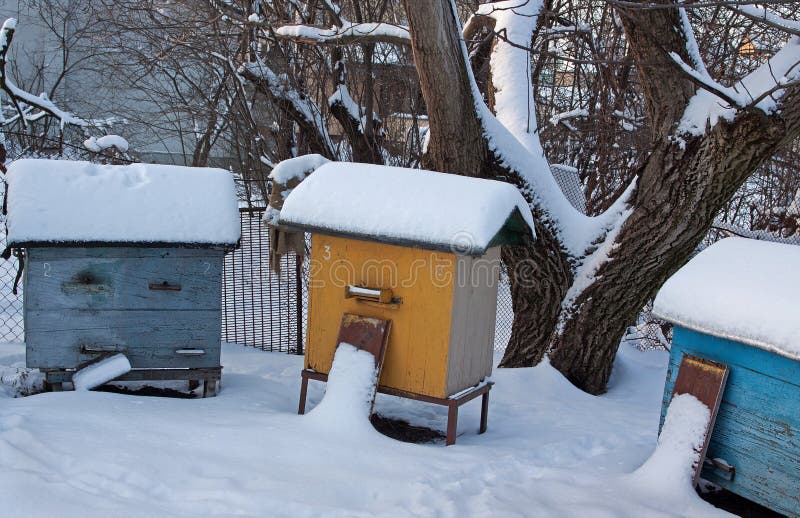 Three hives in winter stock image. Image of bees, exterior 88739487