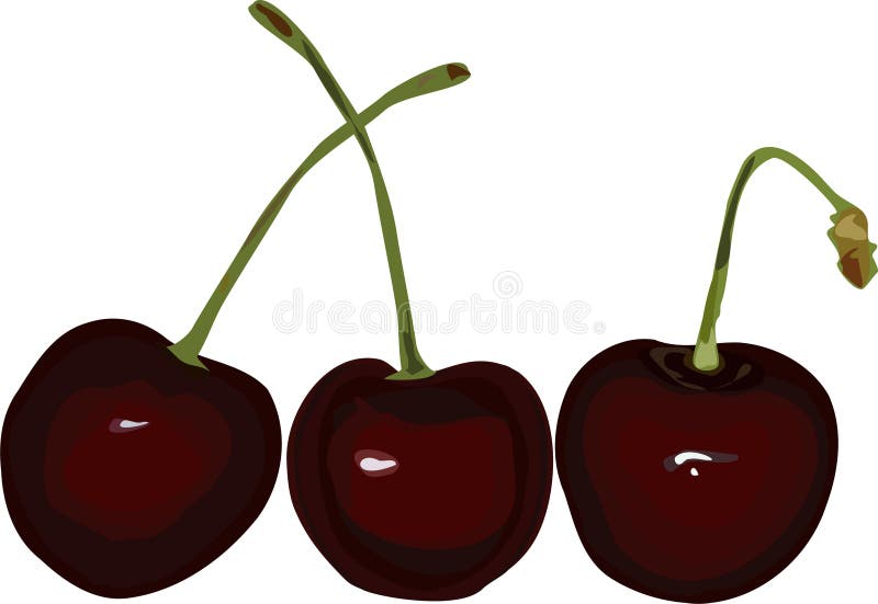 Three Cherries stock illustration. Illustration of illustration 9687385