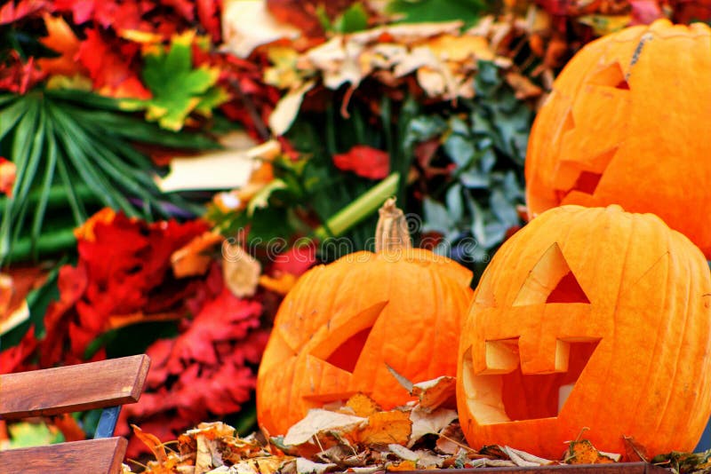 Three Jack-o-lantern pumpkins for Halloween royalty free stock images Three Jack-o-lantern pumpkins for Halloween royalty free stock images