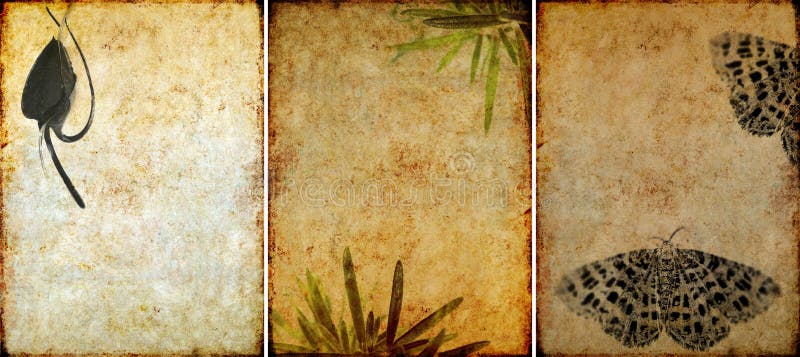 Three lovely background textures