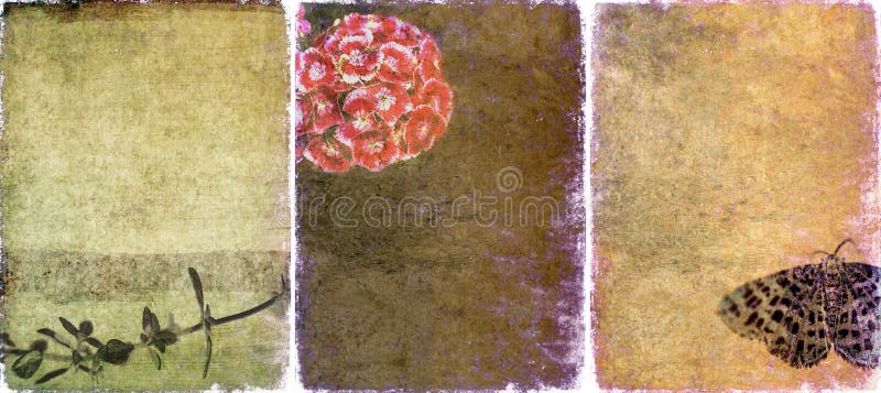 Three lovely background textures