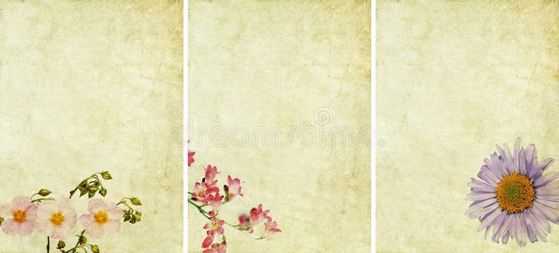 Printable Vintage Bird and Roses Stationary or Background Stock Image -  Image of chic, leaves: 27901549