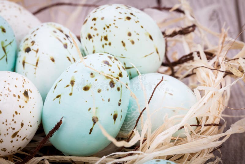 Three natural blue Easter eggs in a basket stock images