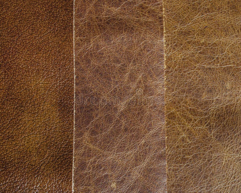 Natural leather stock photo. Image of element, background 12808064