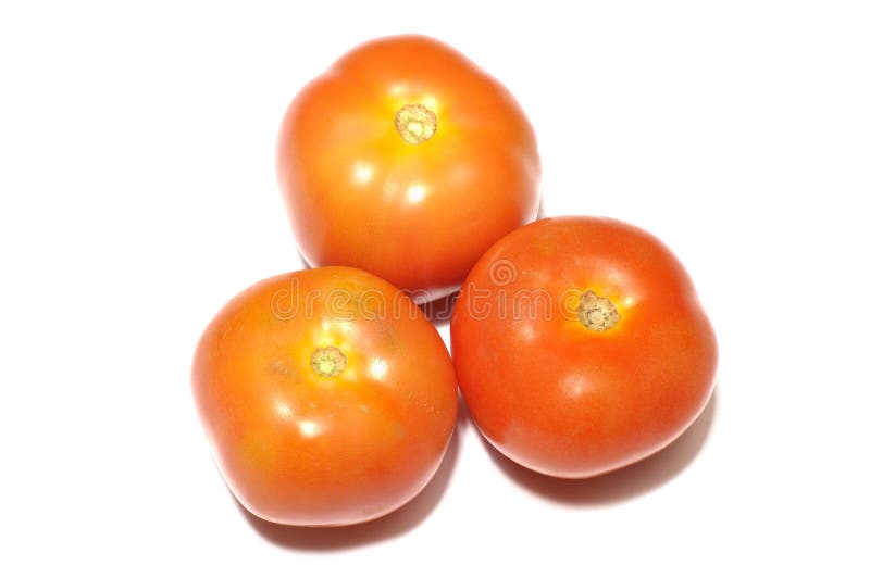 Three orange tomatoes neatly arranged closely set against a white backdrop stock images